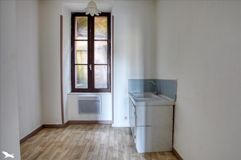 Vente Immeuble TERRASSON LAVILLEDIEU - -  400 m² - (24120)