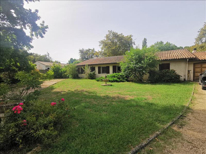 Vente Maison ST MORILLON - 6 pièces -163 m² - (33650)