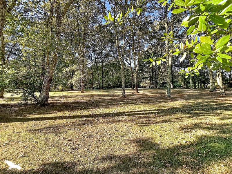Vente Maison La Brède - 8 pièces -184 m² - (33650)