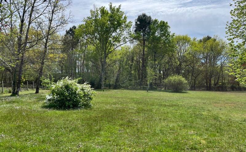 Vente Terrain GRADIGNAN - -1975 m² - (33170)