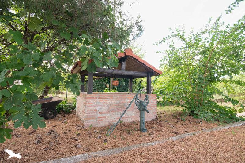 Vente Maison TOULOUSE - 5 pièces -105 m² - (31200)