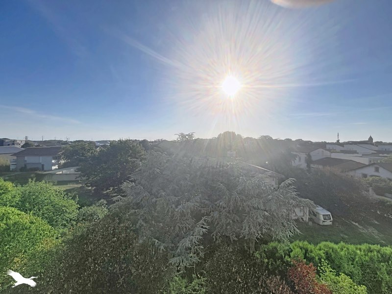 Vente Appartement TOULOUSE - 4 pièces -89 m² - (31200)