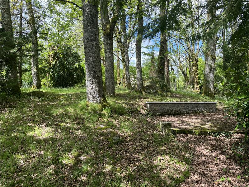 Vente Maison PIEGUT PLUVIERS - 4 pièces -100 m² - (24360)