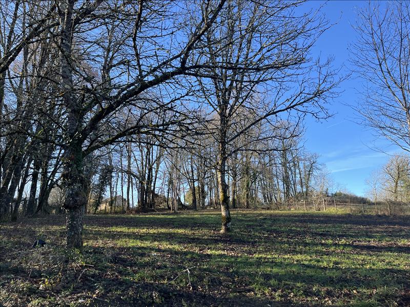 Vente Terrain ST FRONT LA RIVIERE - -2528 m² - (24300)