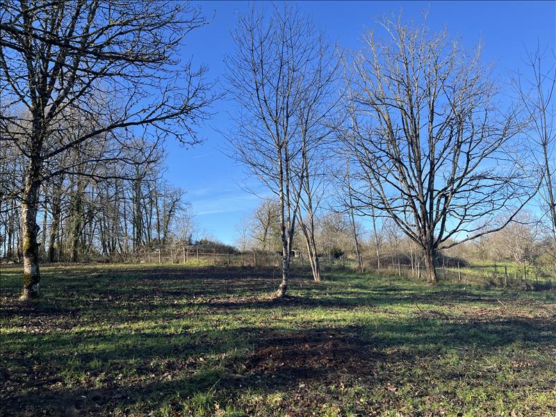 Vente Terrain ST FRONT LA RIVIERE - -2528 m² - (24300)