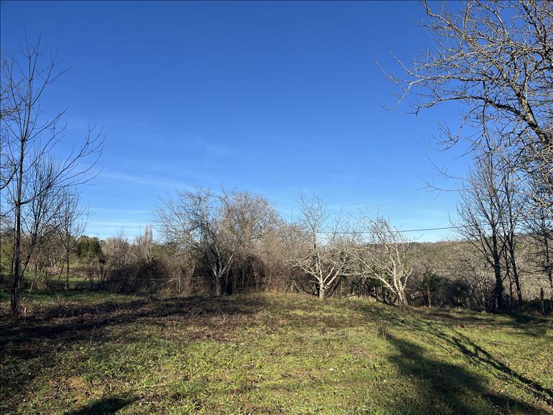 Vente Terrain ST FRONT LA RIVIERE - -2528 m² - (24300)