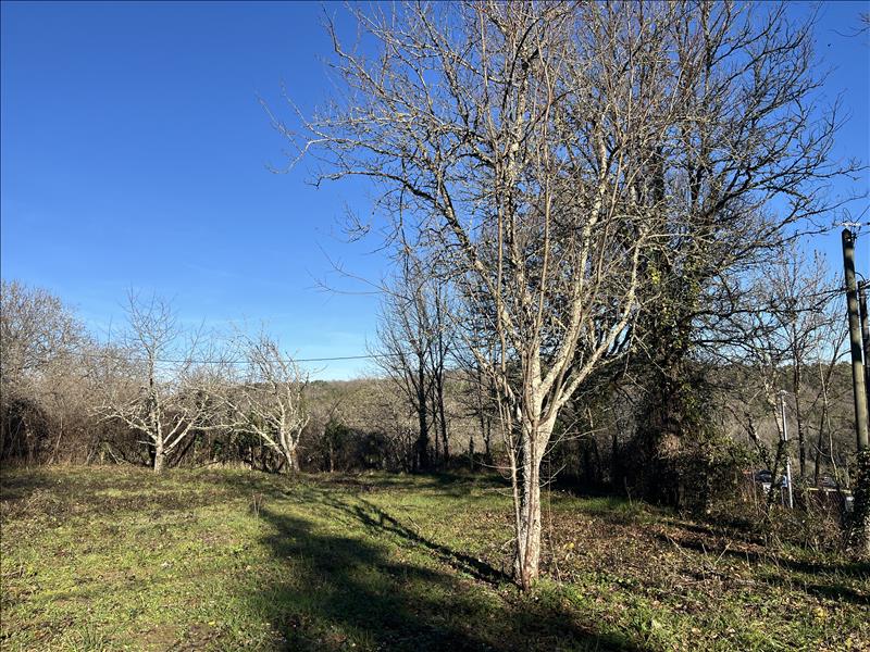 Vente Terrain ST FRONT LA RIVIERE - -2528 m² - (24300)