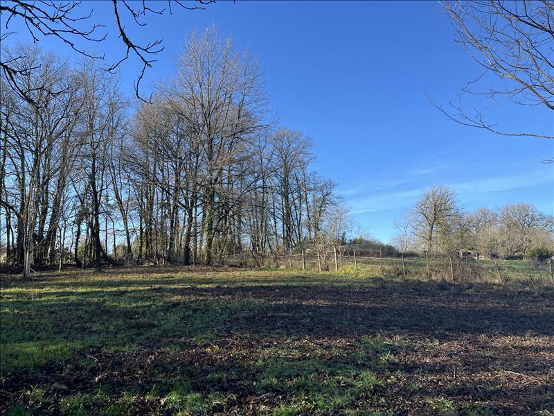 Vente Terrain ST FRONT LA RIVIERE - -2528 m² - (24300)