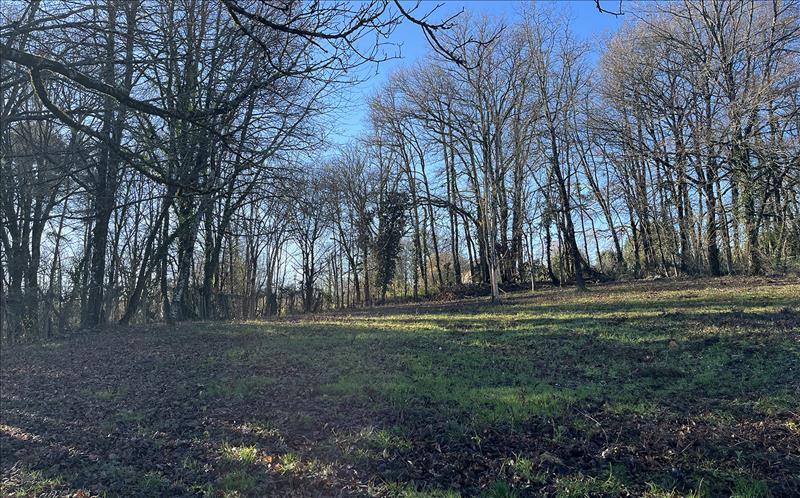 Vente Terrain ST FRONT LA RIVIERE - -2528 m² - (24300)