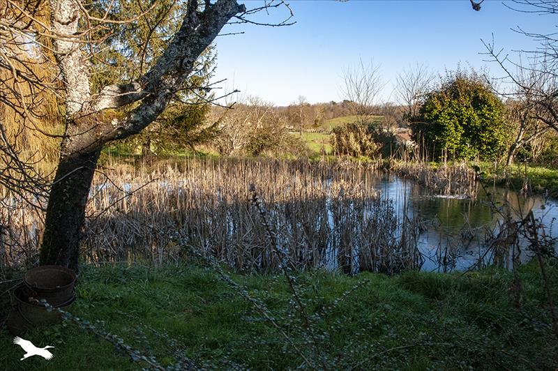 Vente Maison ST PARDOUX LA RIVIERE - 6 pièces -120 m² - (24470)