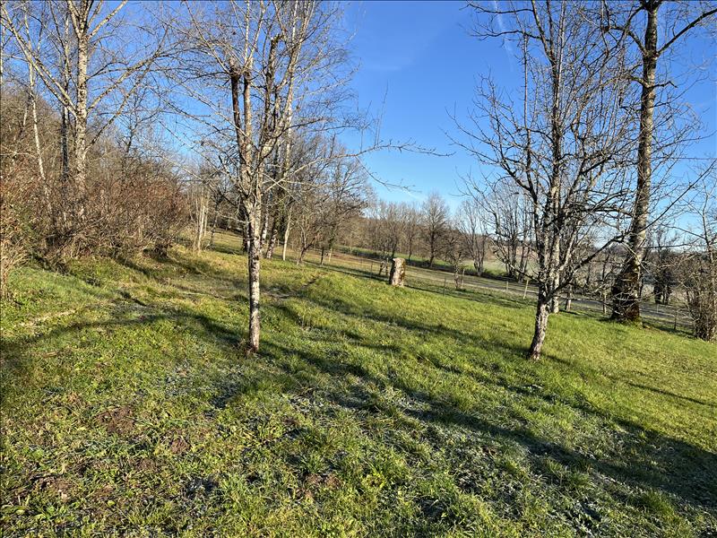 Vente Maison TEYJAT - 4 pièces -80 m² - (24300)