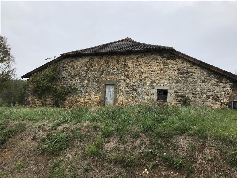 Vente Maison ST MARTIN LE PIN - -272 m² - (24300)