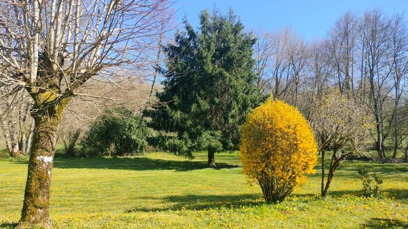 Vente Maison VARAIGNES - 5 pièces -110 m² - (24360)