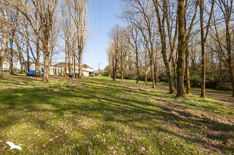 Vente Maison NONTRON - 8 pièces -187 m² - (24300)