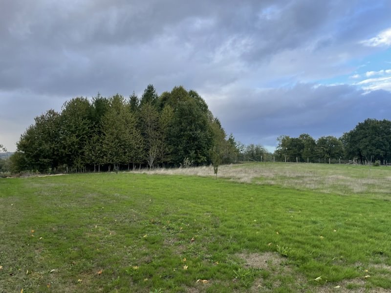 Vente Maison Saint-Saud-Lacoussière - 4 pièces -260 m² - (24470)