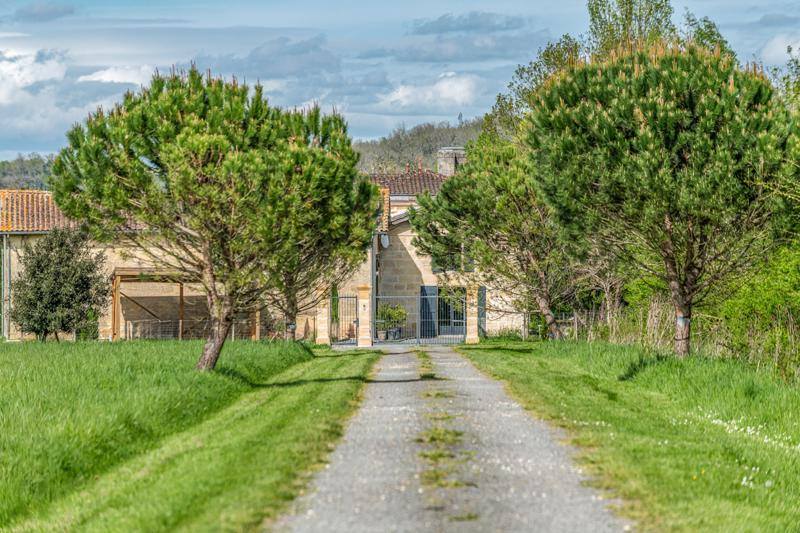 Vente Maison IZON - 7 pièces -330 m² - (33450)