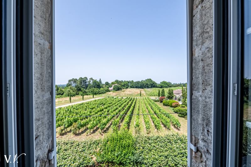 Vente Château LATRESNE - 7 pièces -273 m² - (33360)