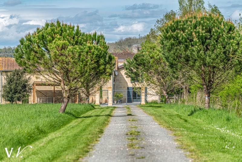 Vente Maison Izon - 7 pièces -330 m² - (33450)