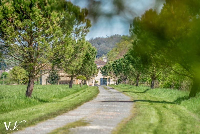 Vente Maison Izon - 7 pièces -330 m² - (33450)