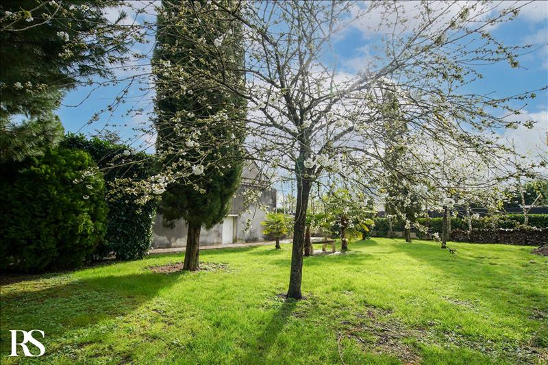 Vente Maison ST AVERTIN - 15 pièces -570 m² - (37550)