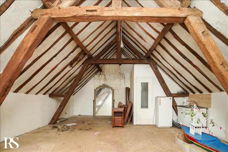 Vente Maison ST AVERTIN - 15 pièces -570 m² - (37550)