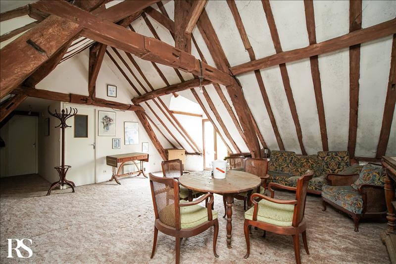 Vente Maison ST AVERTIN - 15 pièces -570 m² - (37550)