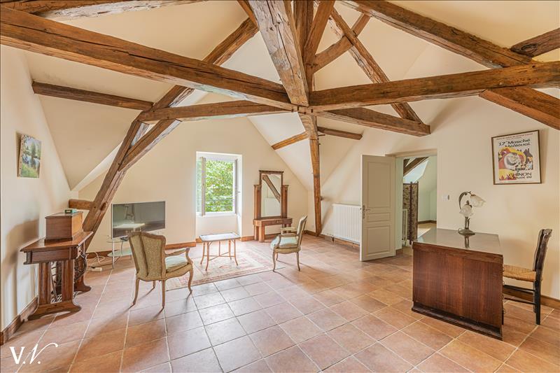 Vente Maison FAYE LA VINEUSE - 14 pièces -495 m² - (37120)