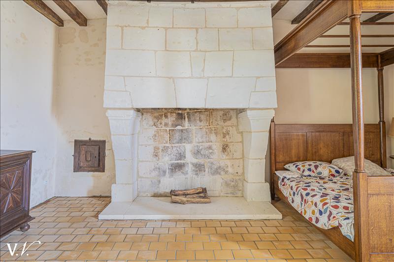 Vente Maison FAYE LA VINEUSE - 14 pièces -495 m² - (37120)