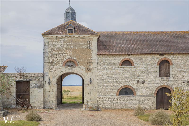 Vente Maison FAYE LA VINEUSE - 14 pièces -495 m² - (37120)