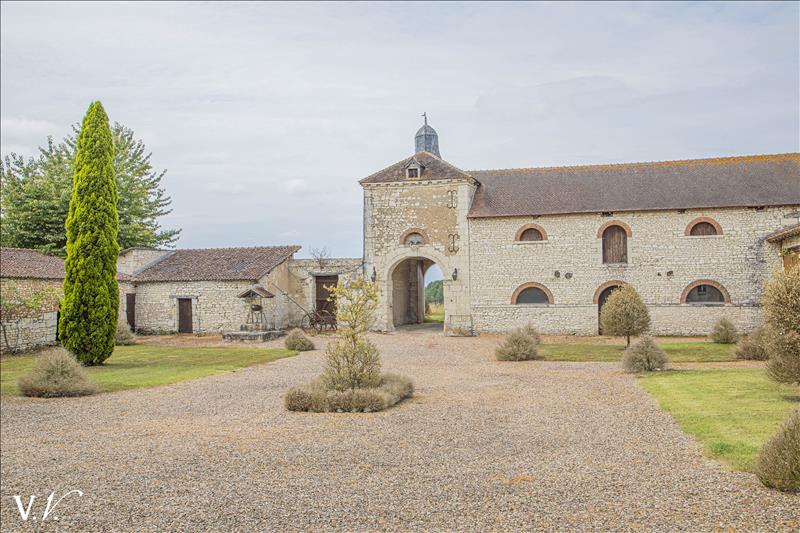 Vente Maison FAYE LA VINEUSE - 14 pièces -495 m² - (37120)