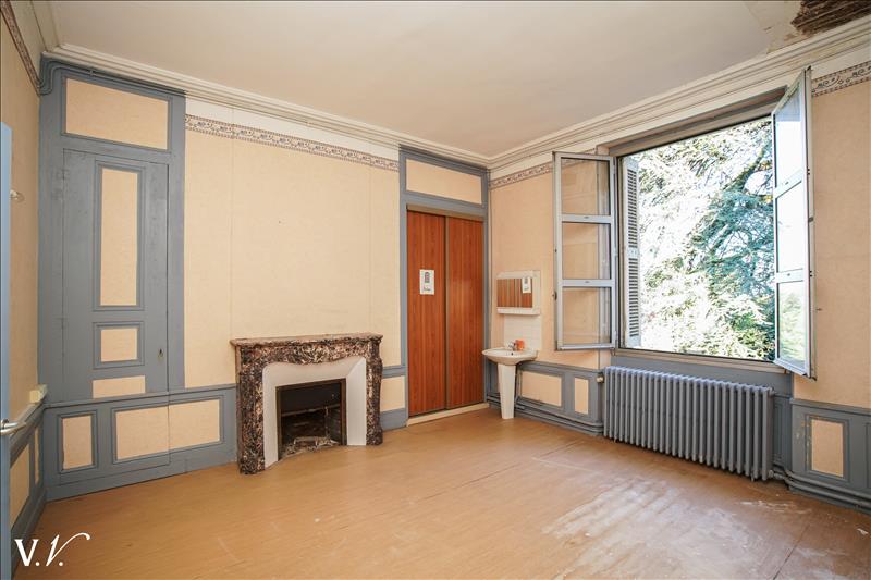Vente Château ST AVERTIN - 21 pièces -750 m² - (37550)