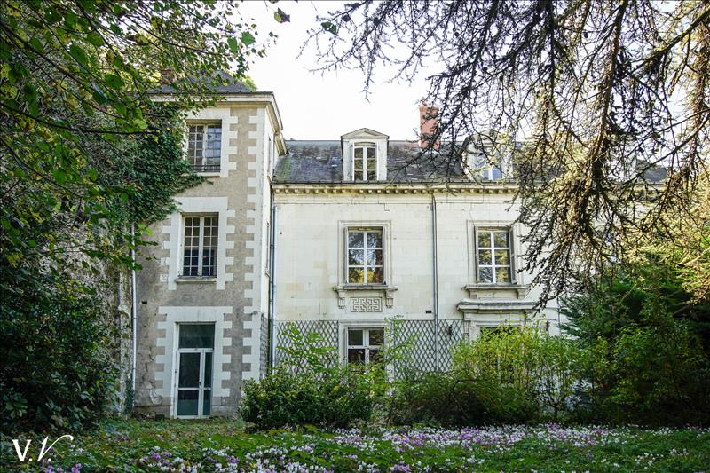 Vente Château ST AVERTIN - 21 pièces -750 m² - (37550)