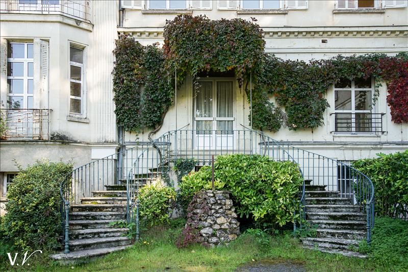 Vente Château ST AVERTIN - 21 pièces -750 m² - (37550)