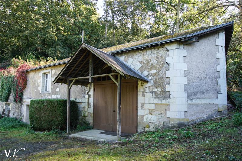 Vente Château ST AVERTIN - 21 pièces -750 m² - (37550)