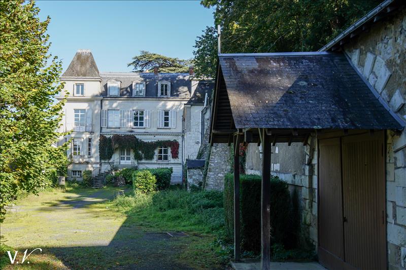 Vente Château ST AVERTIN - 21 pièces -750 m² - (37550)