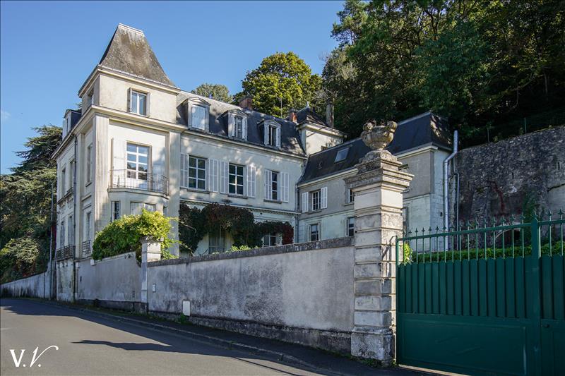 Vente Château ST AVERTIN - 21 pièces -750 m² - (37550)