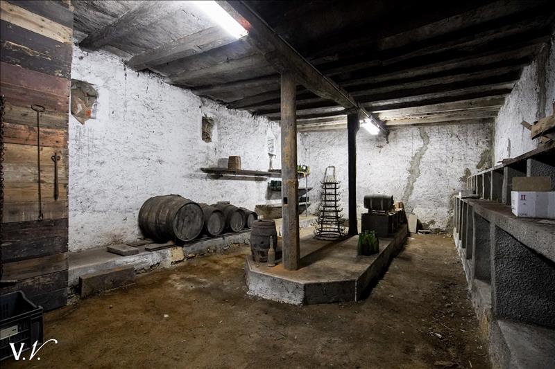Vente Maison BALLAN MIRE - 10 pièces -258 m² - (37510)