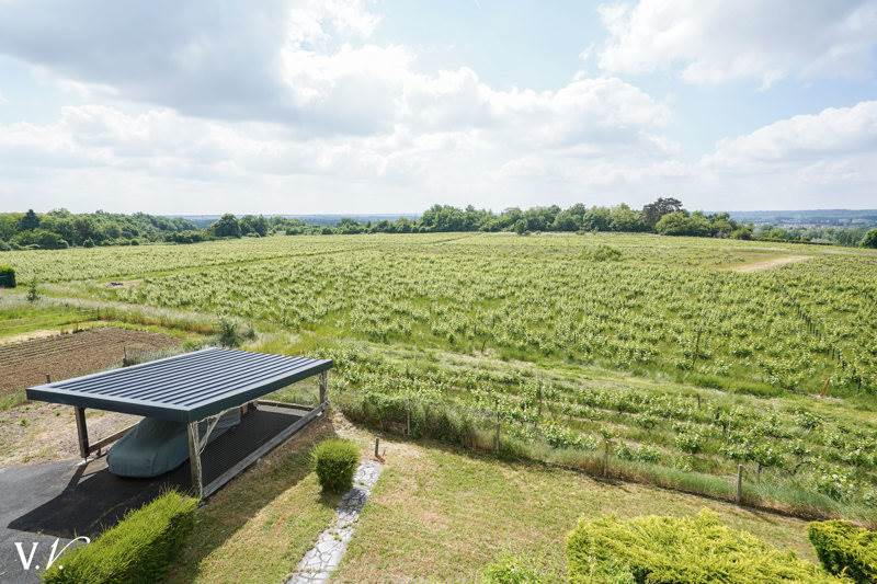 Vente Maison ROCHECORBON - 11 pièces -315 m² - (37210)