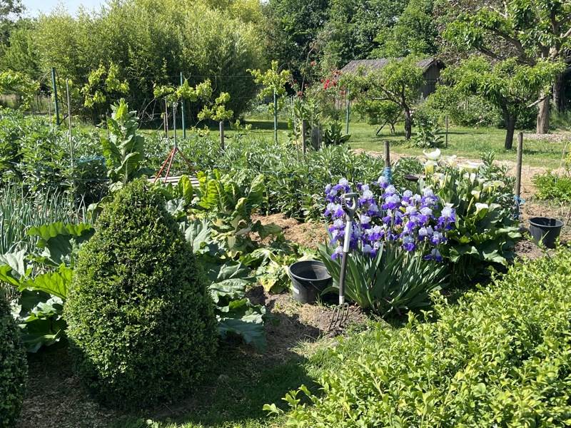 Vente Maison LUYNES - 9 pièces -430 m² - (37230)