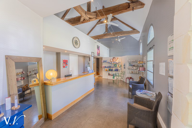 Vente Maison LOCHES - 15 pièces -900 m² - (37600)