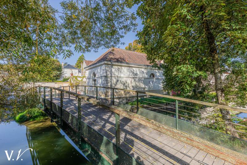 Vente Maison LOCHES - 15 pièces -900 m² - (37600)