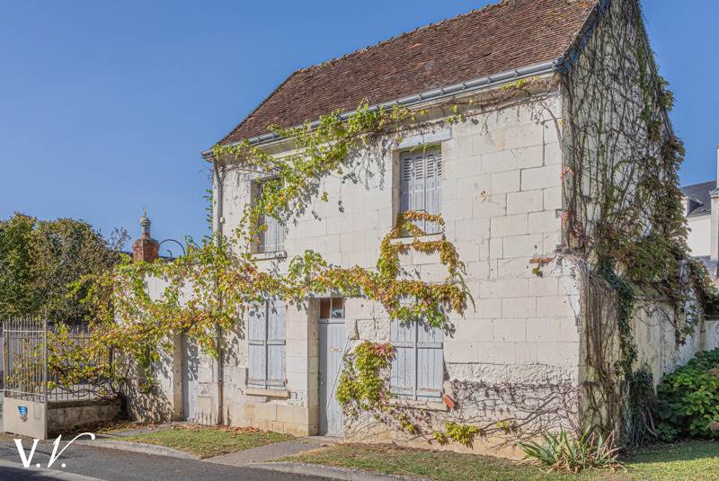 Vente Maison LOCHES - 15 pièces -900 m² - (37600)
