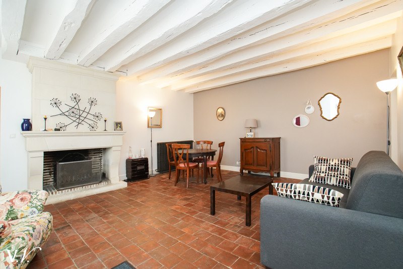 Vente Maison FRANCUEIL - 16 pièces -450 m² - (37150)